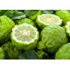 Aceite De Bergamota Nutritivo Formue - Tratamiento Capilar