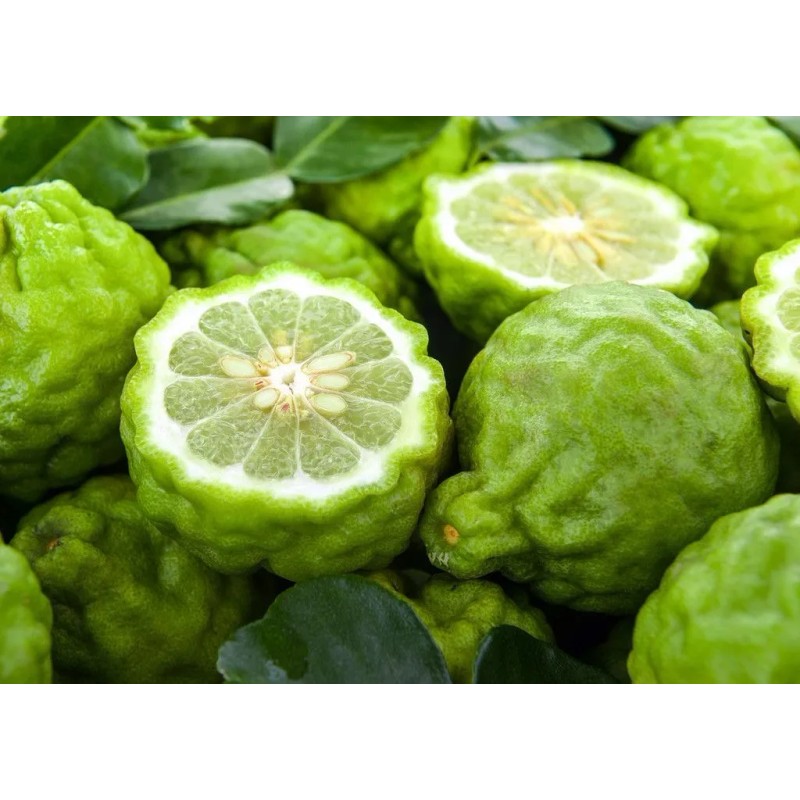 Aceite De Bergamota Nutritivo Formue - Tratamiento Capilar