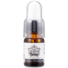 DTW hurawa-essensuaruba-ta Wild Rose