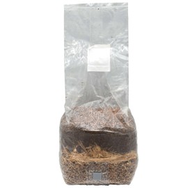 Wood-Based All-in-One Mushroom Grow Bag