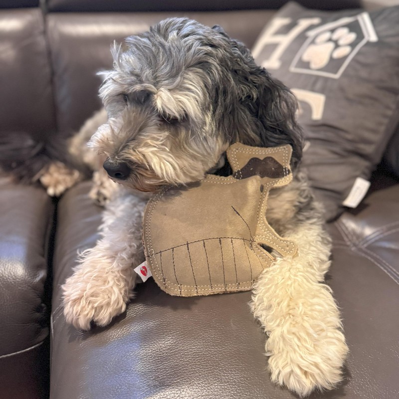 SPOT Dura-Fused Leather Raccoon Dog Toy – Real Leather &
