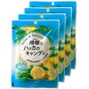 Romance Confectionery Lemon and Peppermint Candy (4 Pieces) 1 Bag