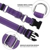 BXPAW Martingale Collar for Dogs,Reflective Martingale Dog Collars with Quick