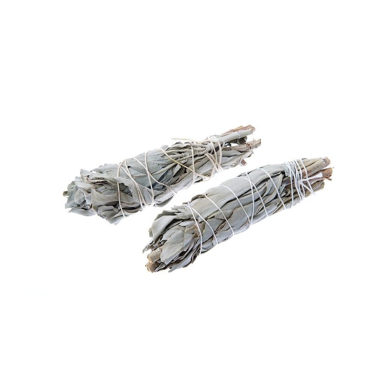 Native American Indian White Sage 4" Bulb Smudge Stick -
