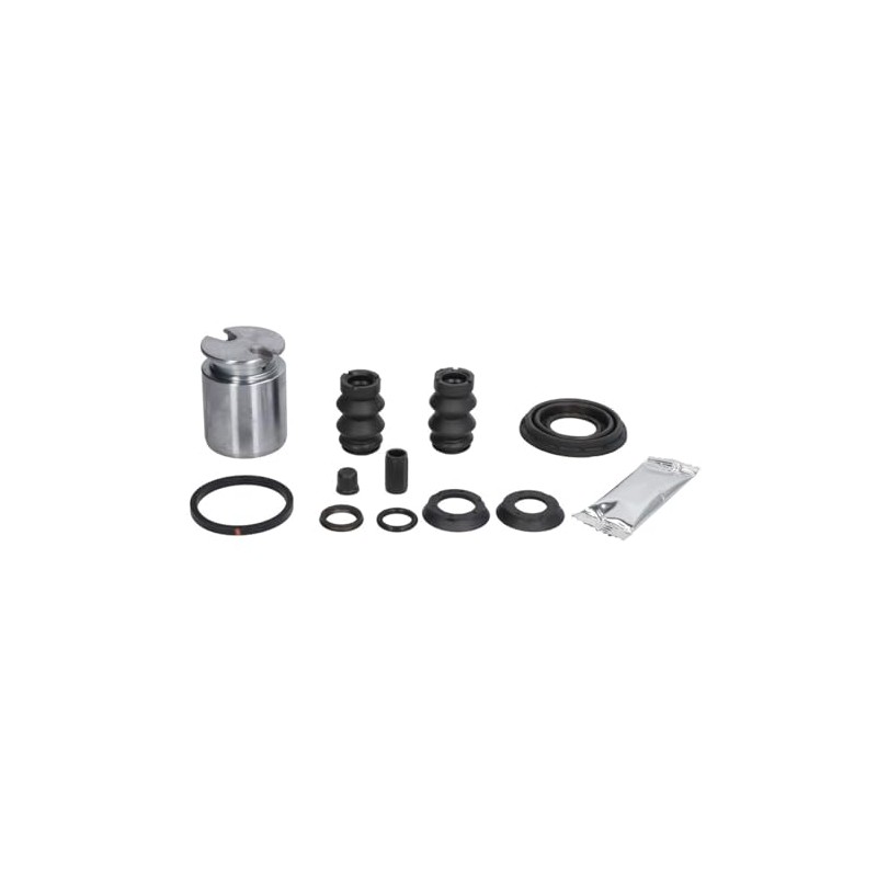 AUTOFREN SEINSA Rear Brake Caliper Repair Kit D43604C