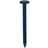 DAIDOHANT 10183159 (Color Nails) Stainless Steel Galvanized Nail Blue (Body