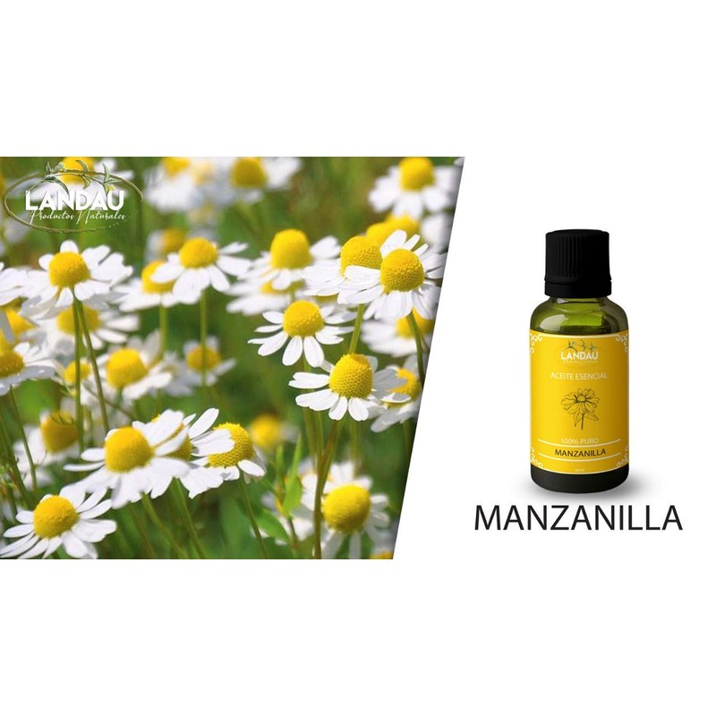 ACEITE ESENCIAL de MANZANILLA MEXICANA 15 ML