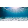 MIRRORANG 76 x 46 cm Durable Vinyl Underwater Ocean Floor