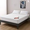 SlumberWell Terry Cotton Waterproof Fitted Mattress Protector, Breathable, Machine Washable