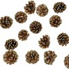 Black Duck Brand 30 x Christmas Glitter Frosted Pine Cones
