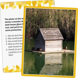 Really Good Stuff Environmental Impact Photo Cards - 25 Cards