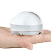 Dandelion 6X Dome/Paperweight Magnifier w/Pouch Table Magnifying