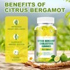 (2 Packs) Sugar Free Citrus Bergamot Gummies for Healthy Cholesterol