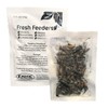 Fresh Feeders (Crickets) - All Natural High Protein Insect Treat