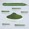 Chlorella Orgánica Pura De Pared Celular Rota 250 Gramos