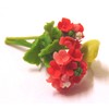 Tumdee Miniatures Dolls House Miniature Bunch of 2 Red Hydrangea