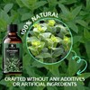 ORIENTLEAF Peppermint Essential Oil, 4.0 fl oz