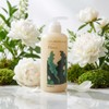 Mongul Cloud Partners Cheongmijeong Kelp Shampoo Itchy Head Itchy Scalp