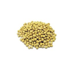 SOYA Beans 100g