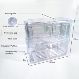 Gittcoll Acrylic Fish Breeding Box Double Layer Aquarium Tank Fishes Isolation Box with Suction Cup for Fry Hatchery Injured Care Divider Container for Small Ornamental Fishes Shrimp (Large)