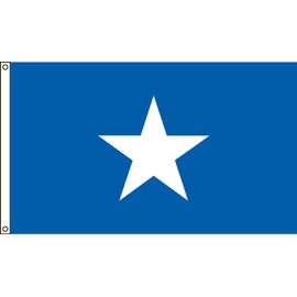 Valley Forge Flag 3-Foot by 5-Foot Nylon Bonnie Blue Historical Flag with Canvas Header and Grommets