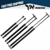 Unbranded 6 Hood & Liftgate & Window Lift Supports Struts