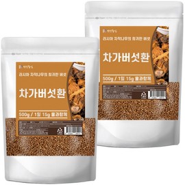 Russian chaga mushroom pills 500g x 2 / 러시아 차가버섯환 500g 2개