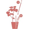 IPPINKA Sustee Aquameter, White, Small, Set of 4 - Soil