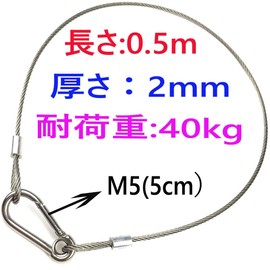 Rissey Security Wire, DJ Light, Fixed Cable, Fall Prevention Wire, For Stage Lighting, Fall Prevention, Load Capacity: 88.2 lbs (40 kg) (5 Pieces, Diameter 0.8 inch (2 mm), Length 19.7 inches (50 cm), Silver