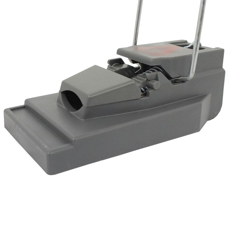 Victor M140B Quick-Kill Easy Set Mouse Trap, 2 Reusable Mouse