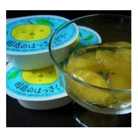 Innoshima Yasuo Pulp Jelly (Home Set of 10)