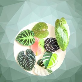 Leaf mobile Phone Socket Grip Accessory