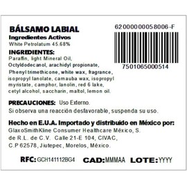 Chapstick Bálsamo Labial Fresa 4 g