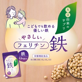 Vitabrid Gentle Ferritine Iron (90 Day Supply/60 Tablets, 3 Bags/Iron Supplement), Can Be Drinked by Parents and Children, Soy Derived / Made in Japan (Folic Acid, Zinc, Vitamin B6, Vitamin B12, Vitamin D)