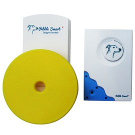 Doggie Doorbell - Blue Accent