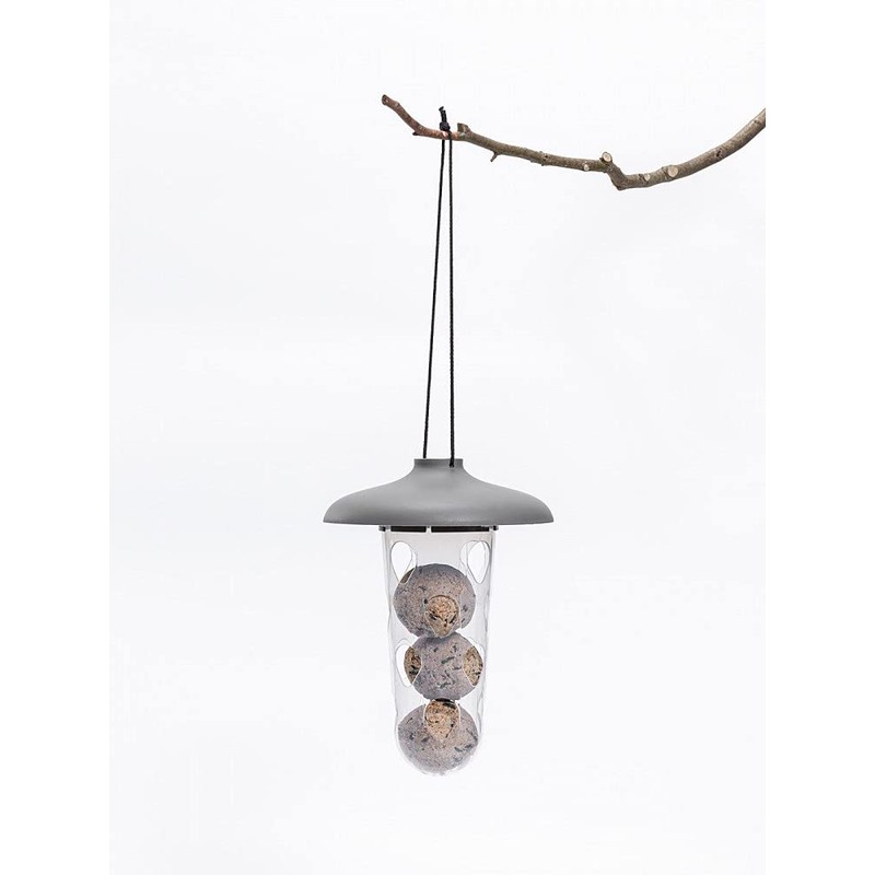 Robin 3-in-1 Bird Feeder and Bath - Anthracite