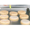 Bakerpan Royal Icing Tools Set, Royal Icing Cookie Supplies, Spatula,
