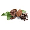 Cacao Seco En Grano