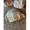 Unbranded Decorative Oyster Shell for Jewelry Rings Trinket Dish Map