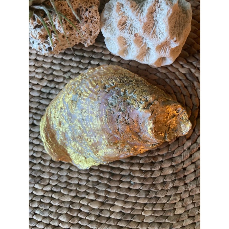 Unbranded Decorative Oyster Shell for Jewelry Rings Trinket Dish Map