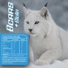 Bcaas Glutamina Linx Fit 1kg 50 Servicios Varios Sabores