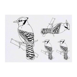 4 x 'Blue Jay on a Branch' Temporary Tattoos - Water Resistant, Skin-Safe, Non-Toxic Transfers, Mixed Sizes (TO00085044)
