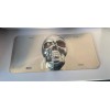 PILOT 3D Red Eyes Skull license plate Stainless Steel rust