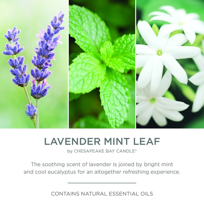 Chesapeake Bay Candle PT42079 Candle, Multi-Wick Ceramic, Lavender Mint Leaf,
