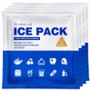 Blue Ice Packs for Coolers, Shipping and Lunch Box |