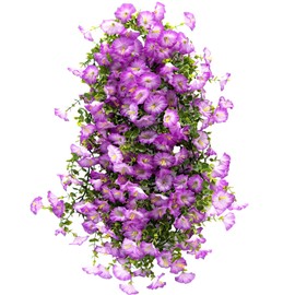 LILOCOO Artificial Flowers Garland 2PCS Purple Artificial Silk Morning Glory Vine Artificial Flowers Hanging Eucalyptus Garland for Wall Fence Arch UV Protected Indoor Outdoor Decor