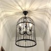 Sky Demons 4 Lights Black Birdcage Crystal Ceiling Chandelier Retro