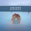 Ancient Minerals Ancient Minerals Magnesium Bath Flakes Ultra with OptiMSM