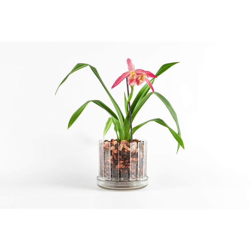 Orchitop Scoop M-Set Orchid Pot with Saucer for All Orchids