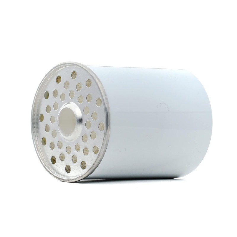 RIDEX 9F0152 Fuel Filter Screw-On Filter with Seal for Car